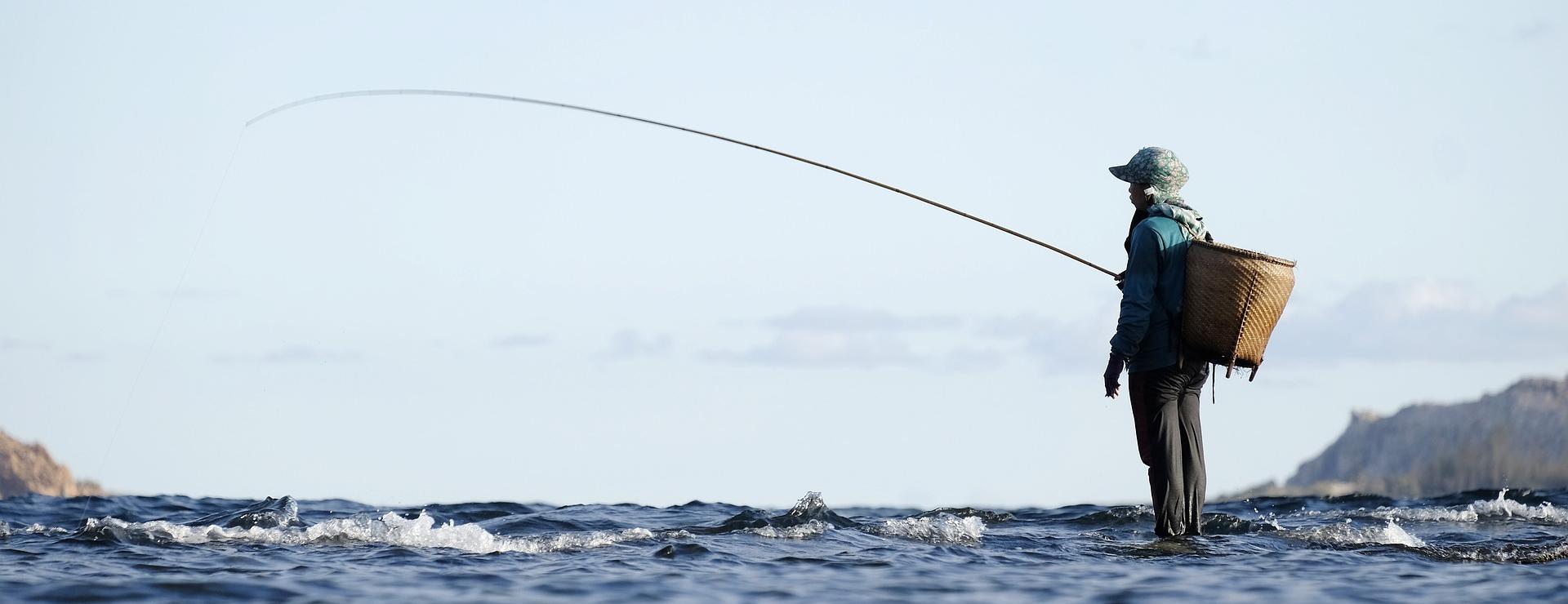 The Ultimate Fishing Gear Store 1 The Ultimate Fishing Gear Store -The Ultimate Fishing Gear Store fishing 5552310 1920